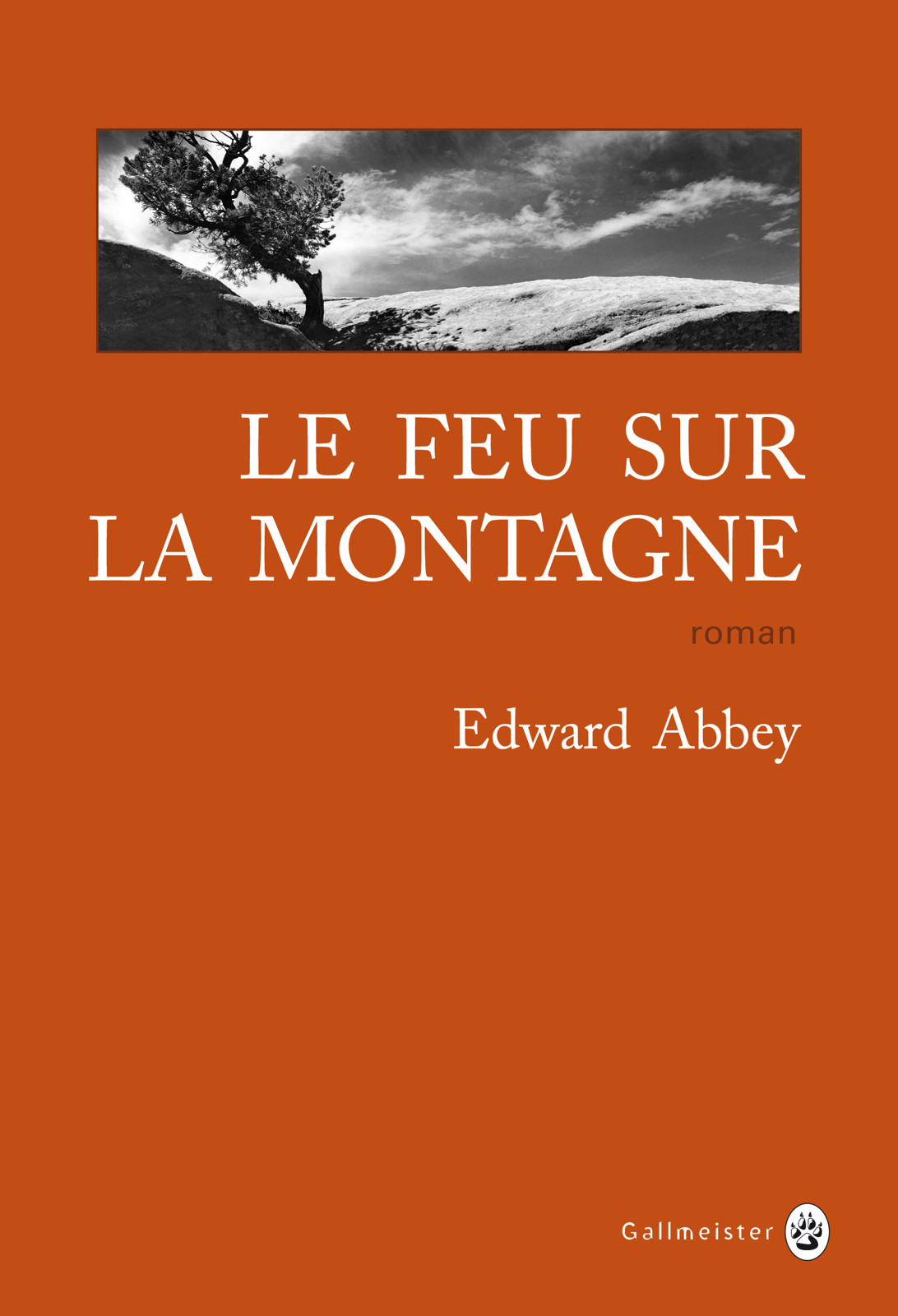 Le feu sur la montagne