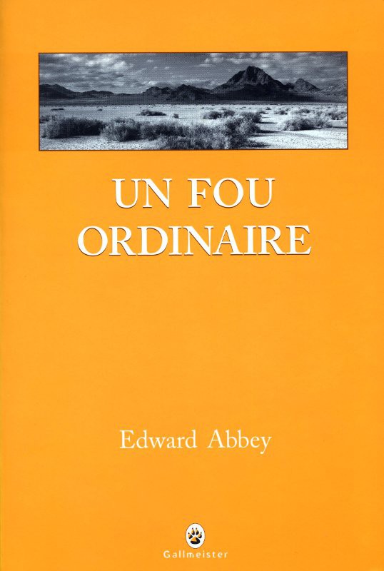 Un fou ordinaire