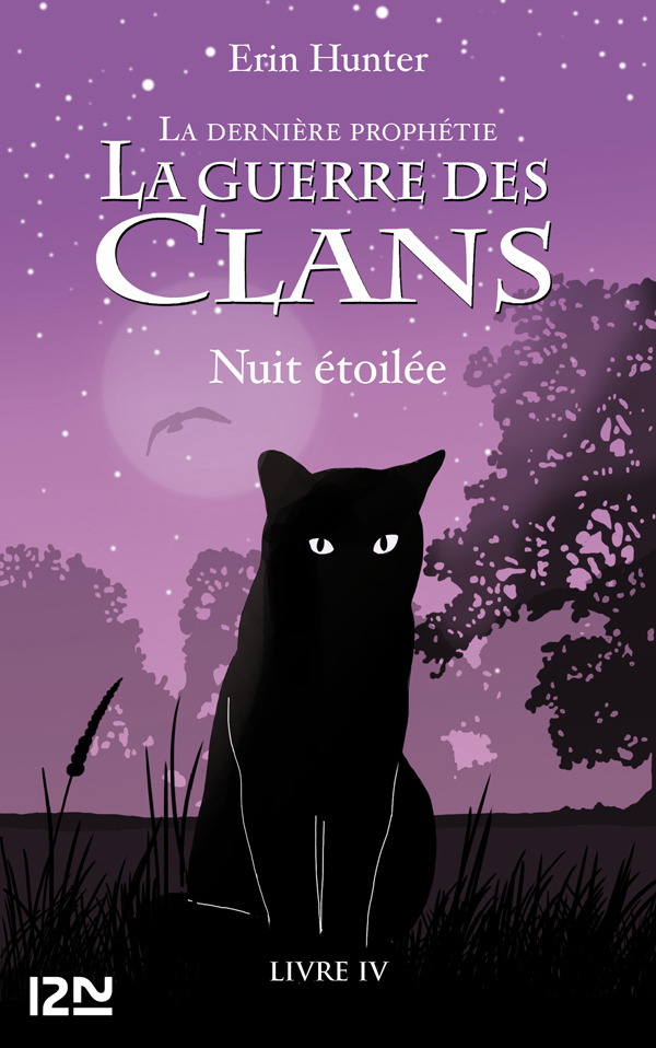 La guerre des Clans II, Livre 4 - Nuit étoilée