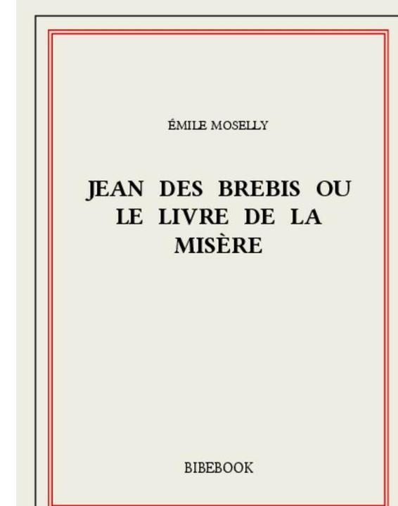 1907 - Jean des Brebis ou Le livre de la misère