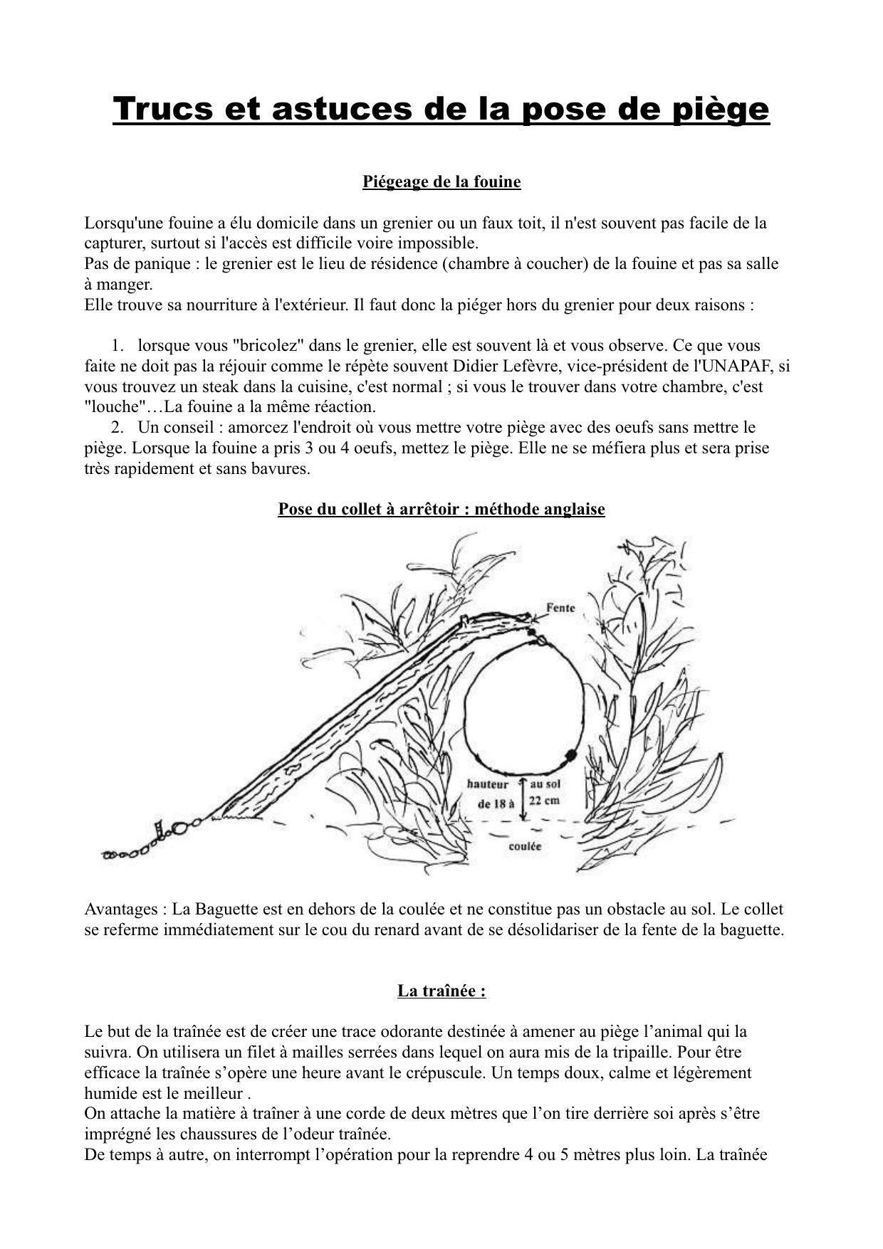 Trucs et astuces de pose de piège