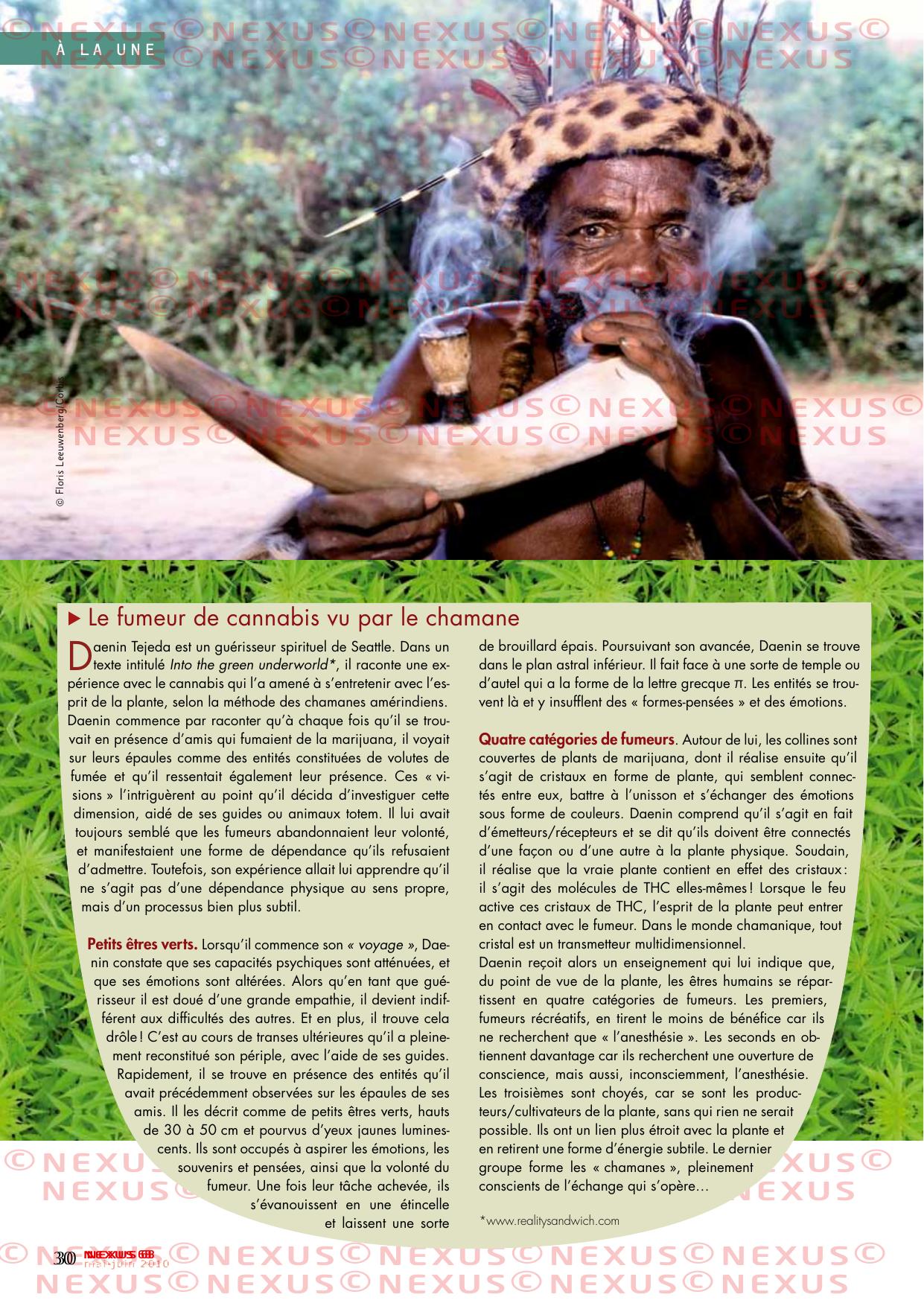 Nexus 68 : Le fumeur de cannabis vu par le chamane