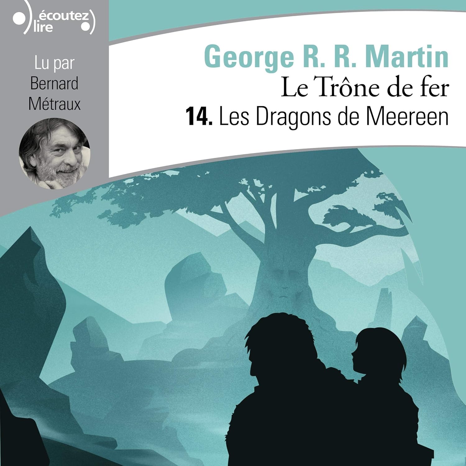 Le Trône de Fer (Tome 14) - Les Dragons de Meereen