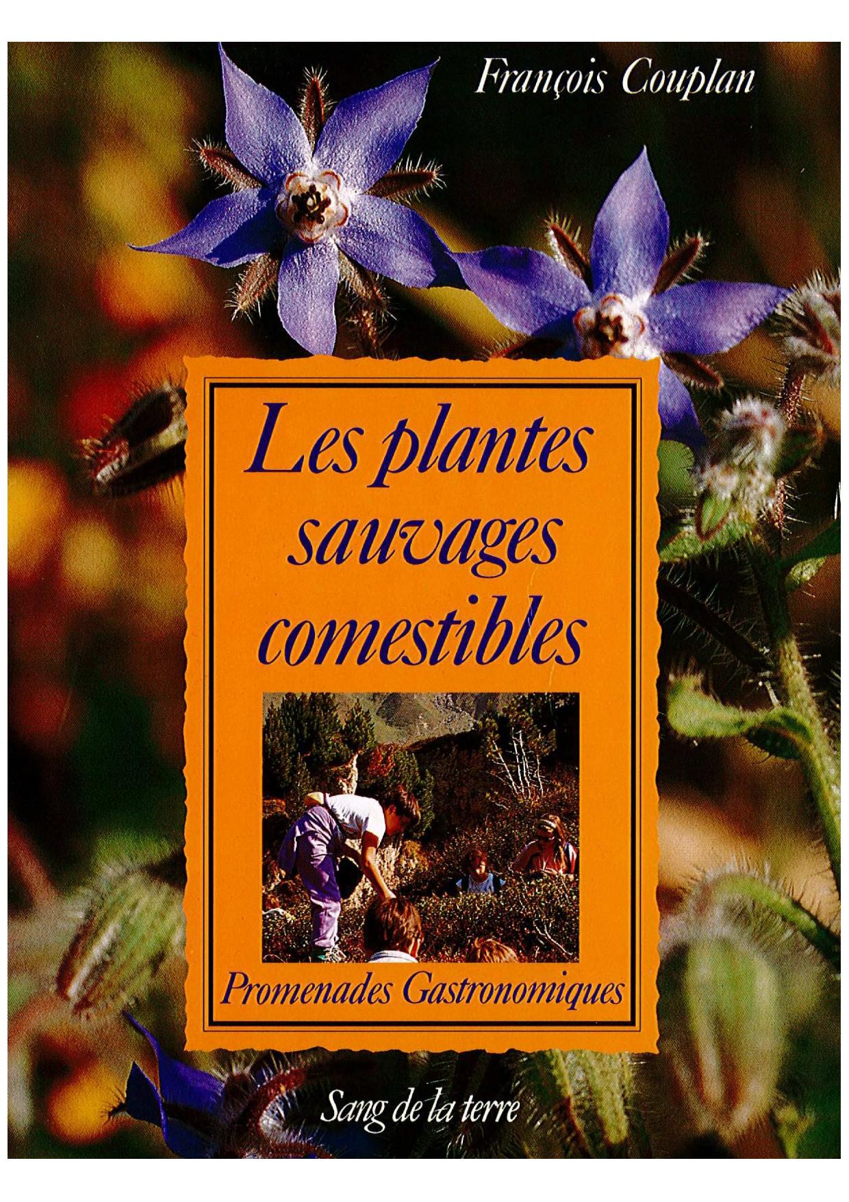 PlantesSauvagesComestibles_IMG