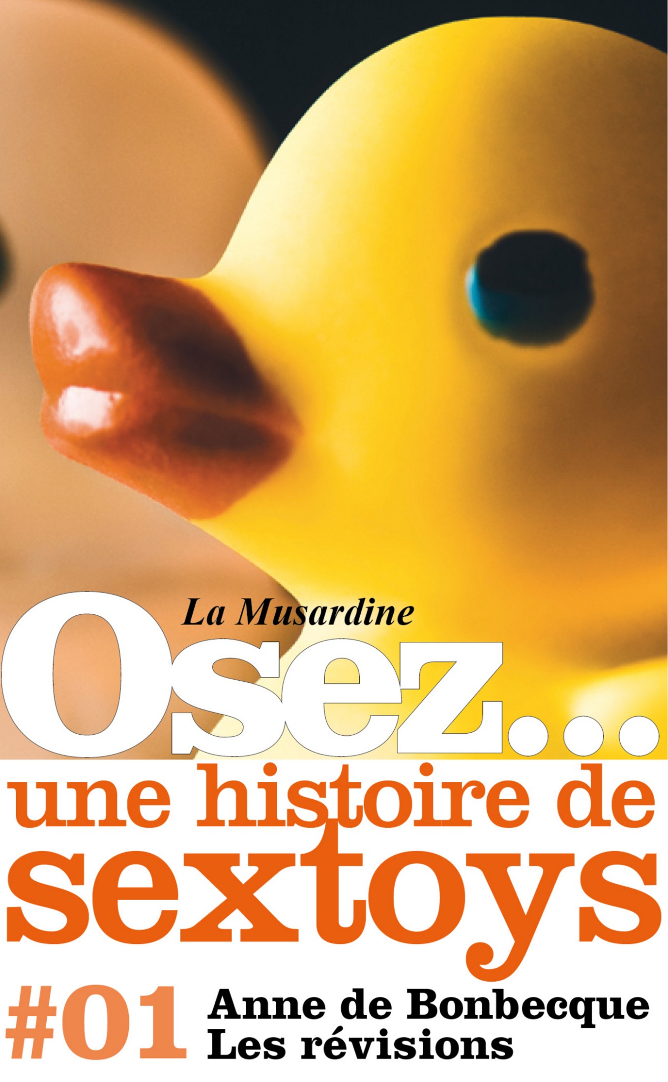 Osez une histoire de sextoys : Les révisions