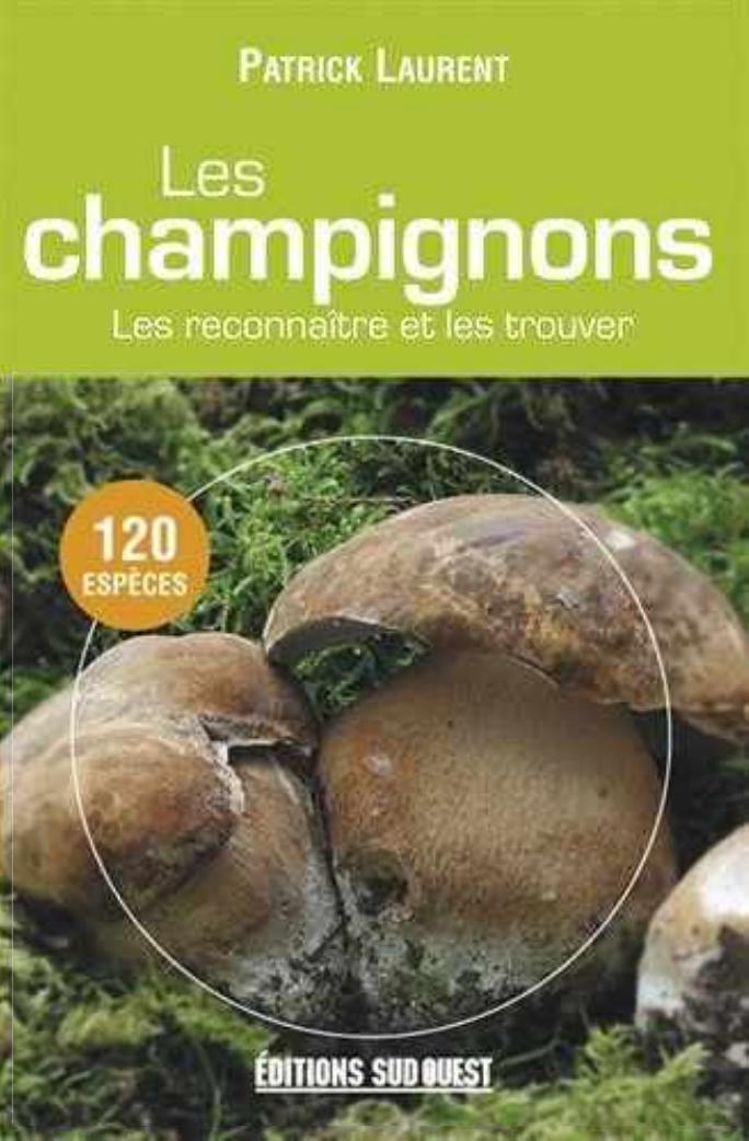 Les Tribus Ba-Kuba et les Peuplades Apparentées