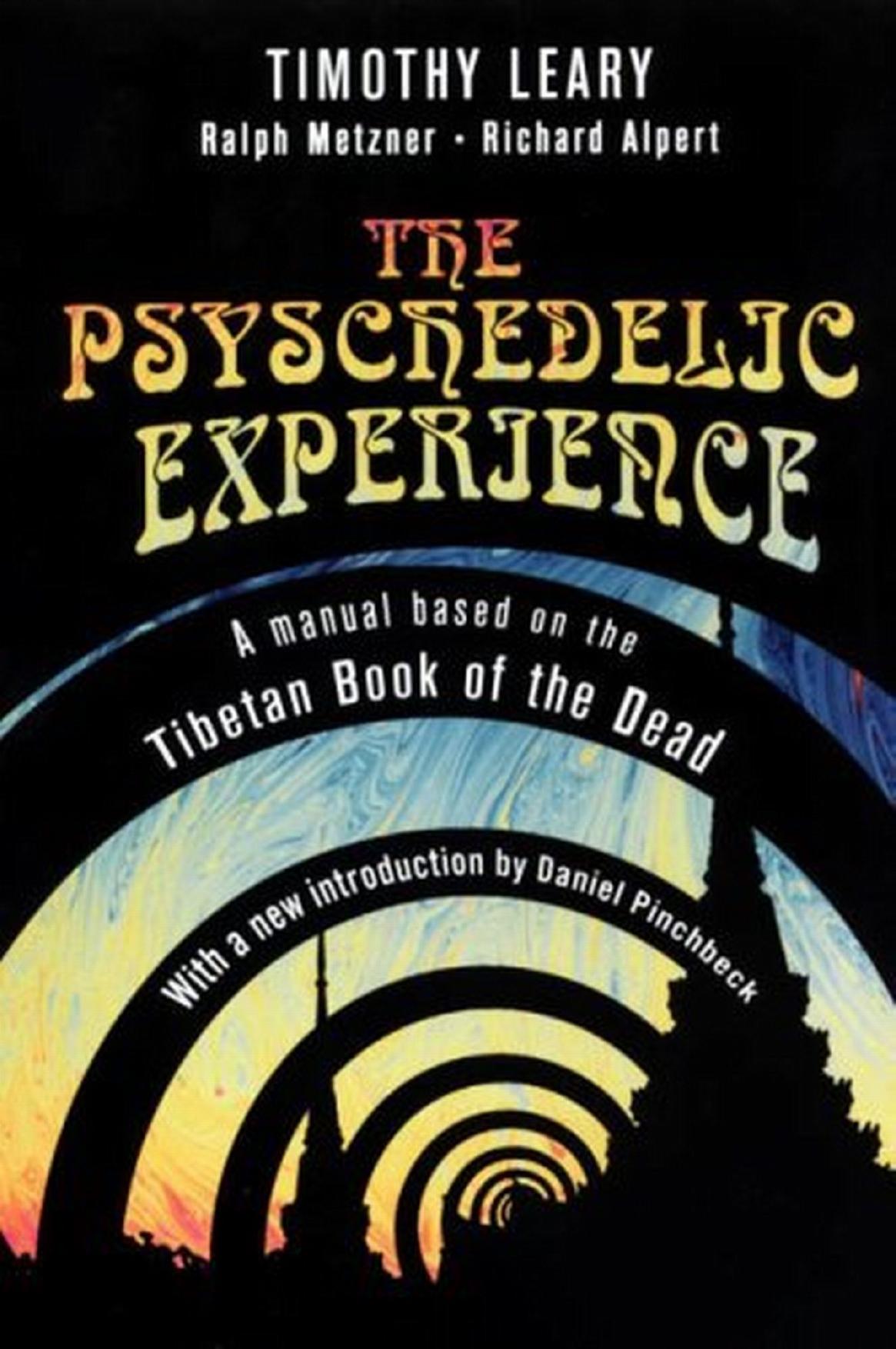 A Psychonaut's Guide to the Invisible Landscape