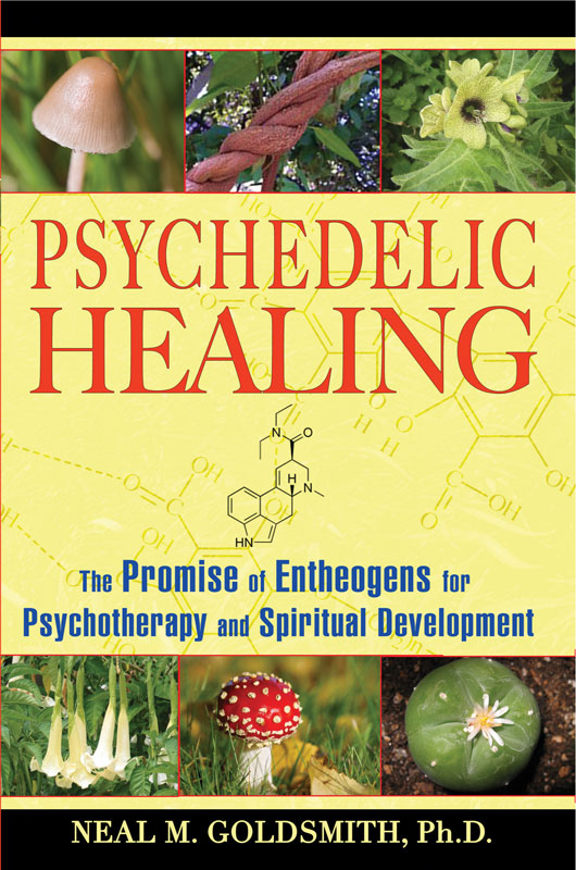 Psychedelic Healing