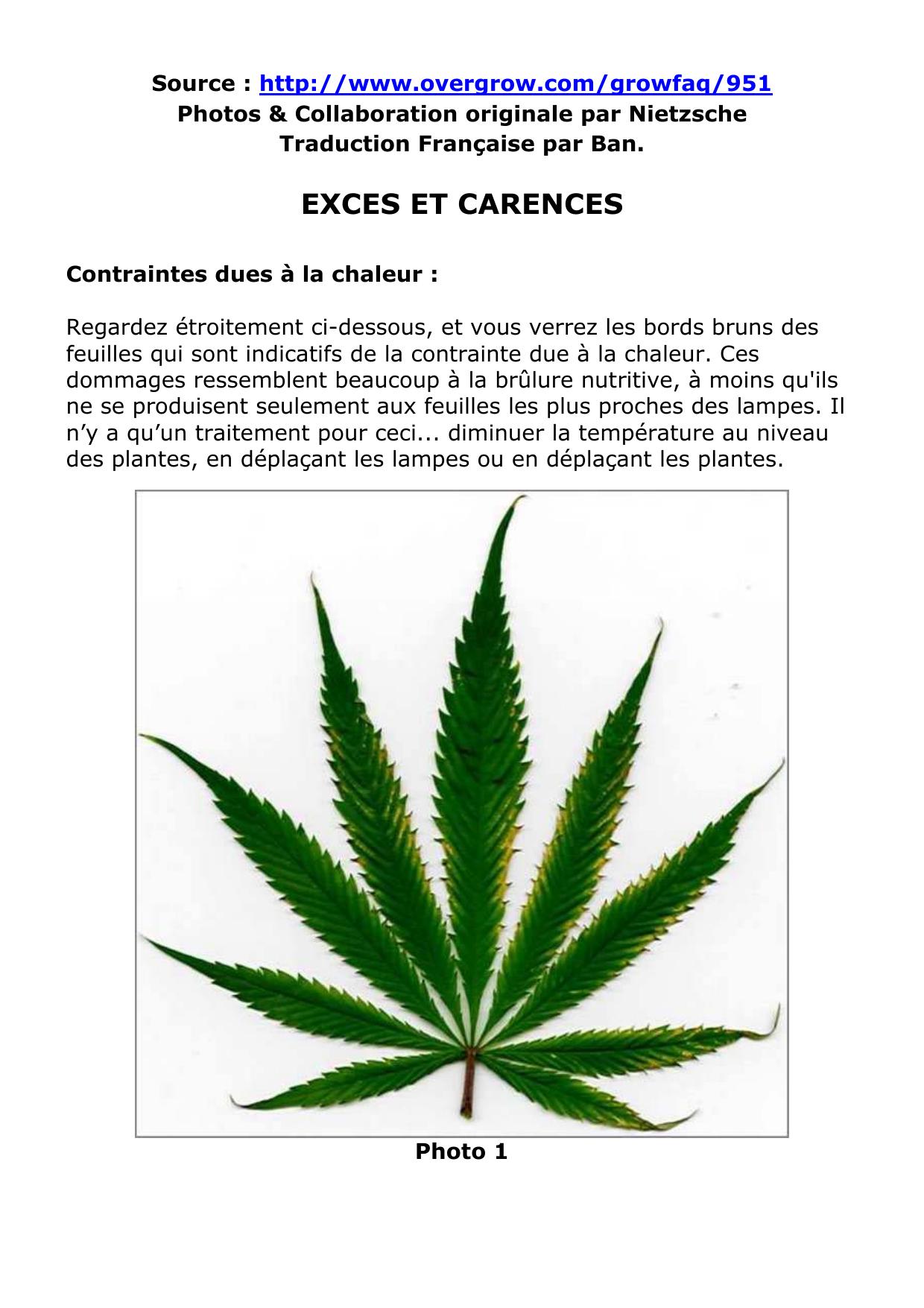 Cannabis Exces et Carences