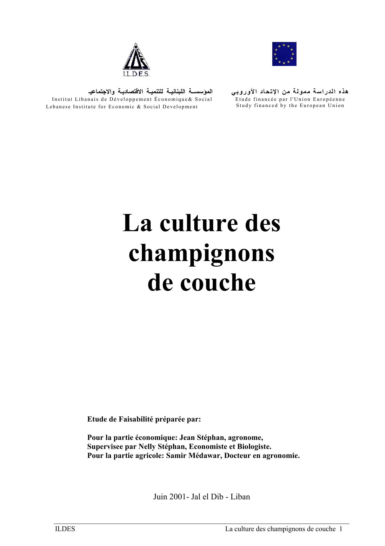 la culture des champignons de souche