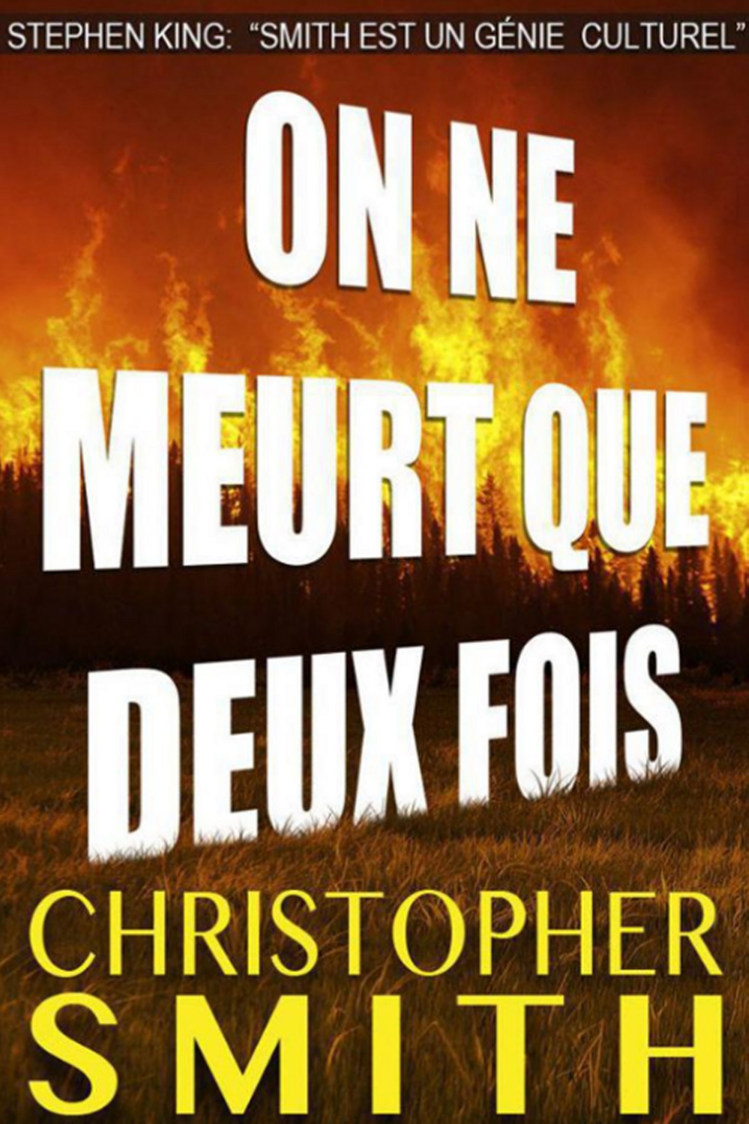 On Ne Meurt Que Deux Fois (Un Thriller) (French Edition)