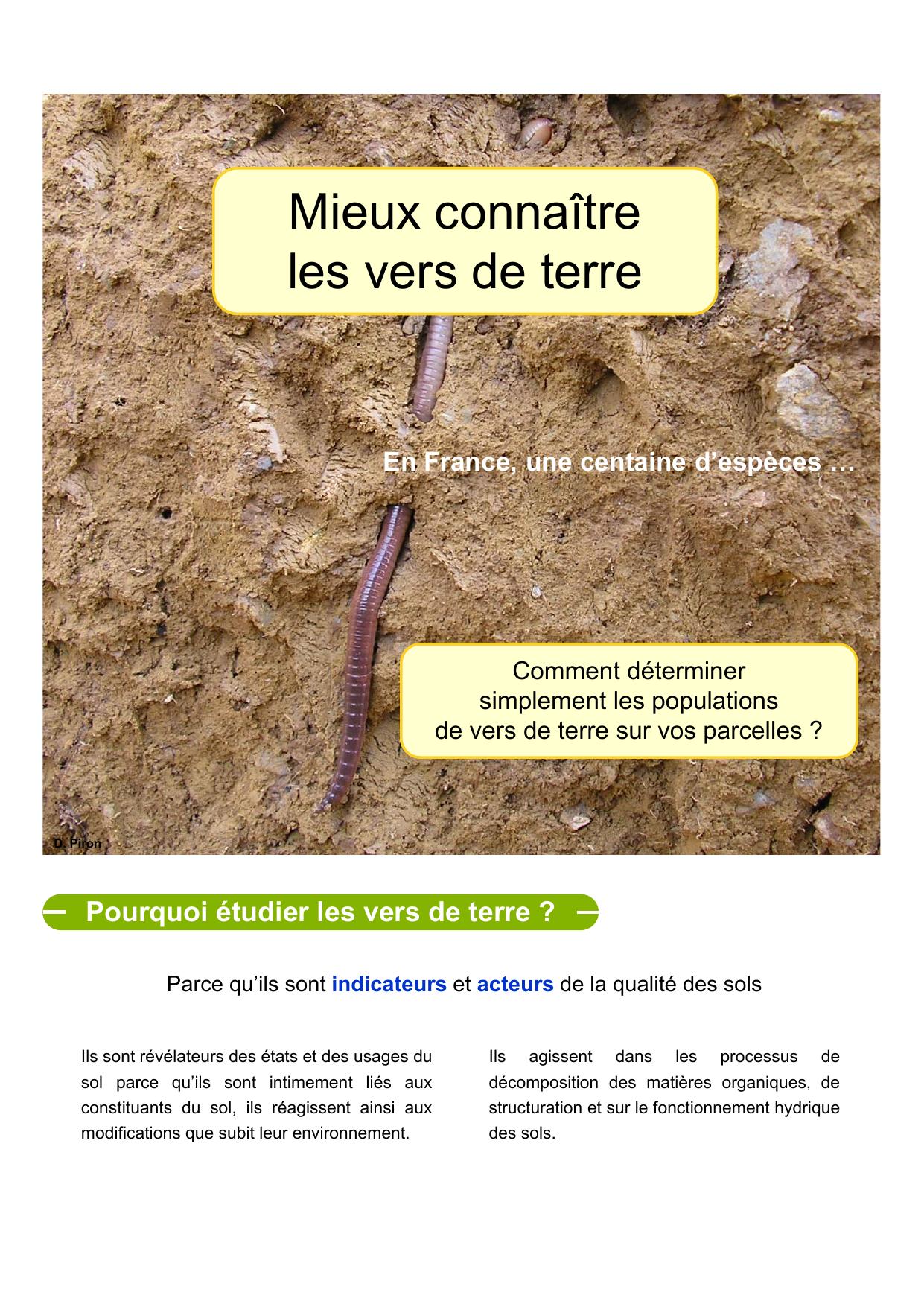 _Mieux connaitre les vers de terre
