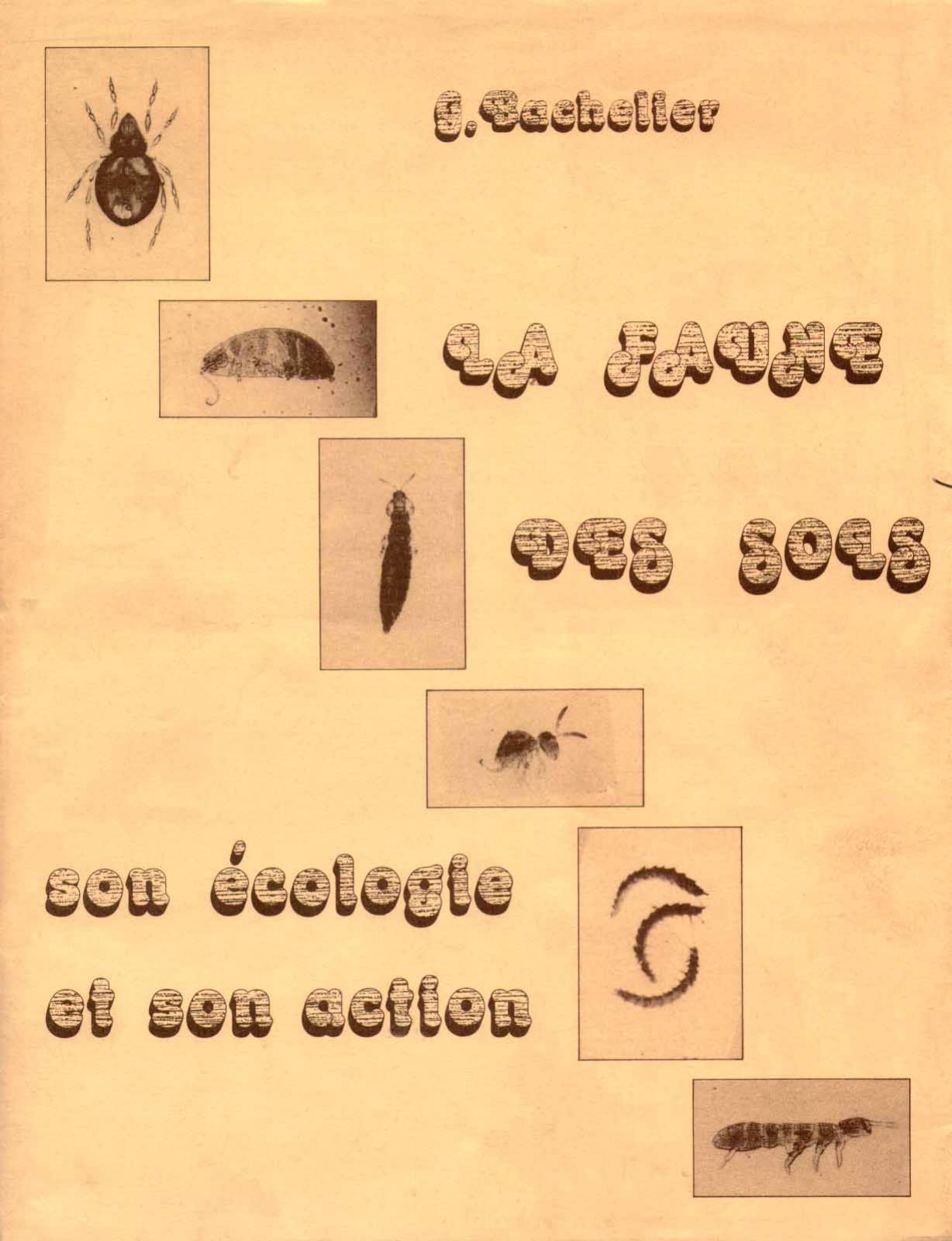 La faune des sols, son écologie et son action