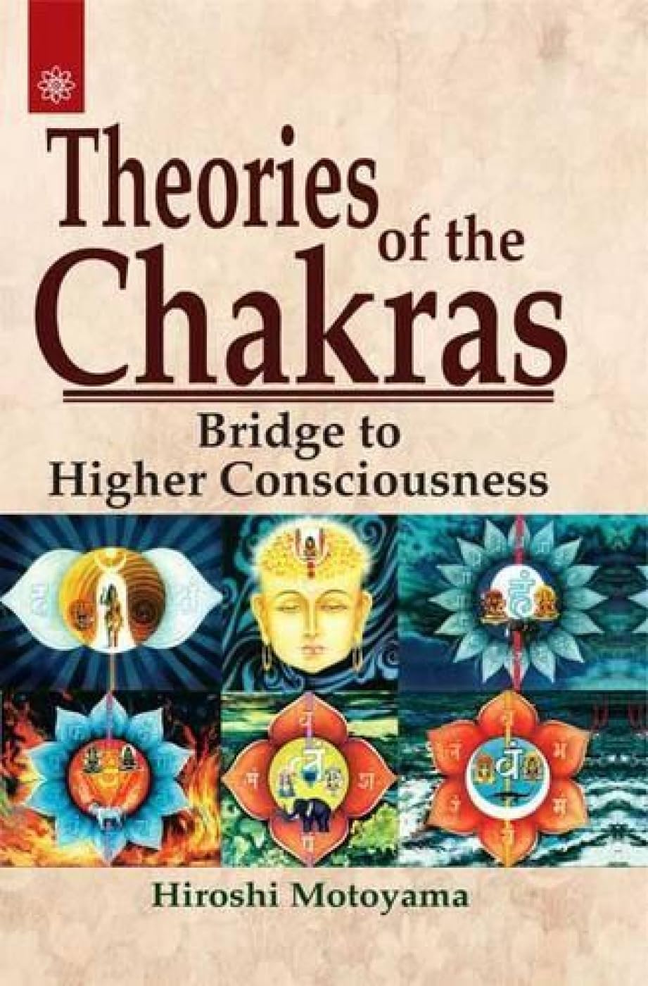 Theories of the Chakras: Bridge to Higher Consciousness
