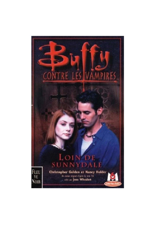 Buffy contre les vampires - T13