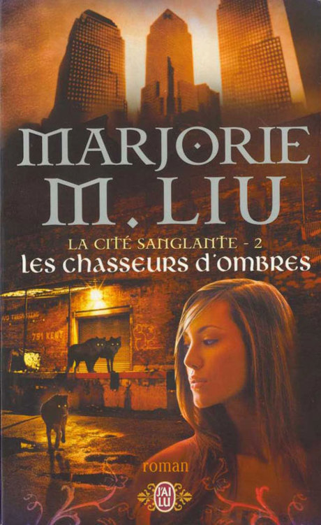 Les Chasseurs d'ombres
