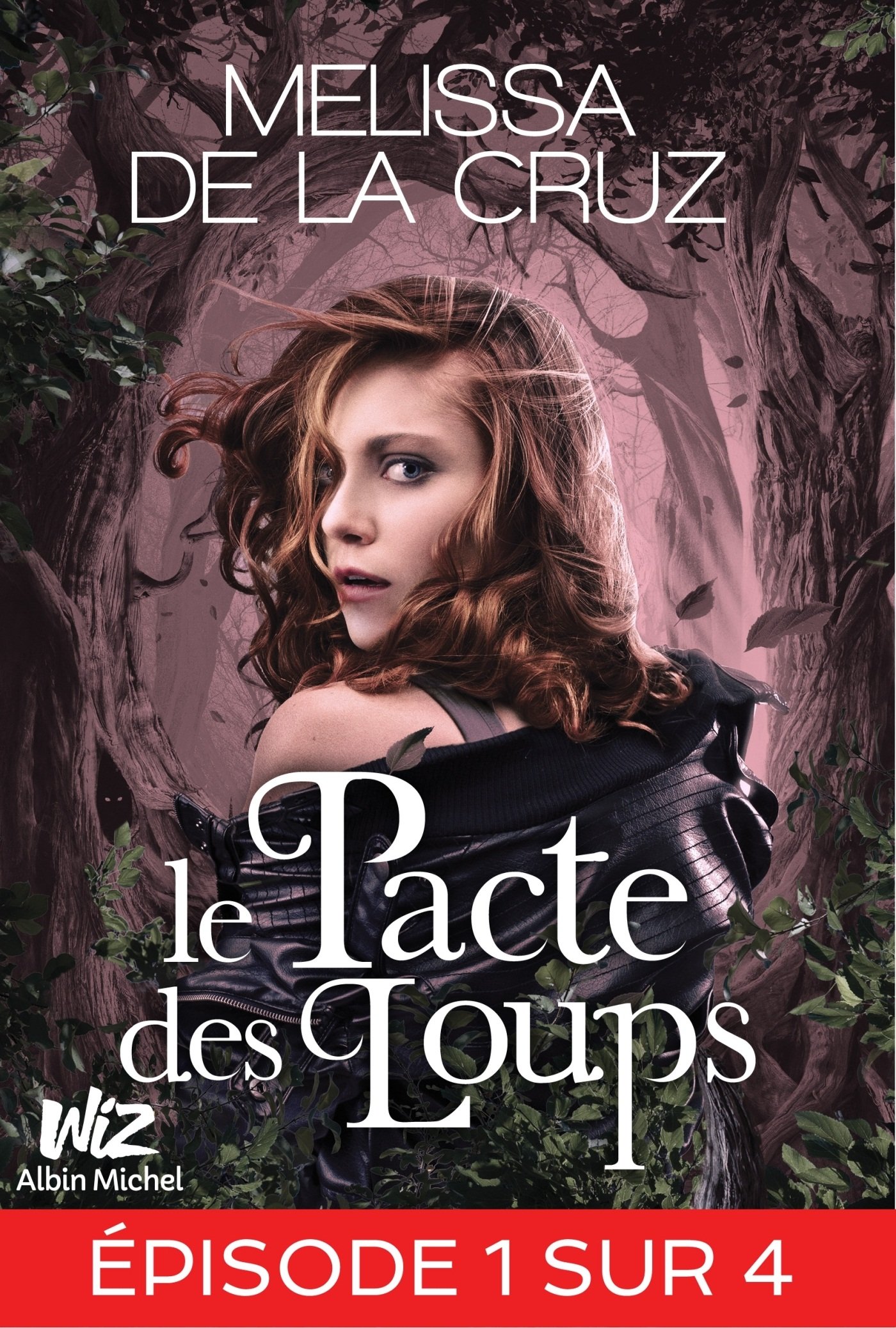 Le Pacte Des Loups - Feuilleton 1