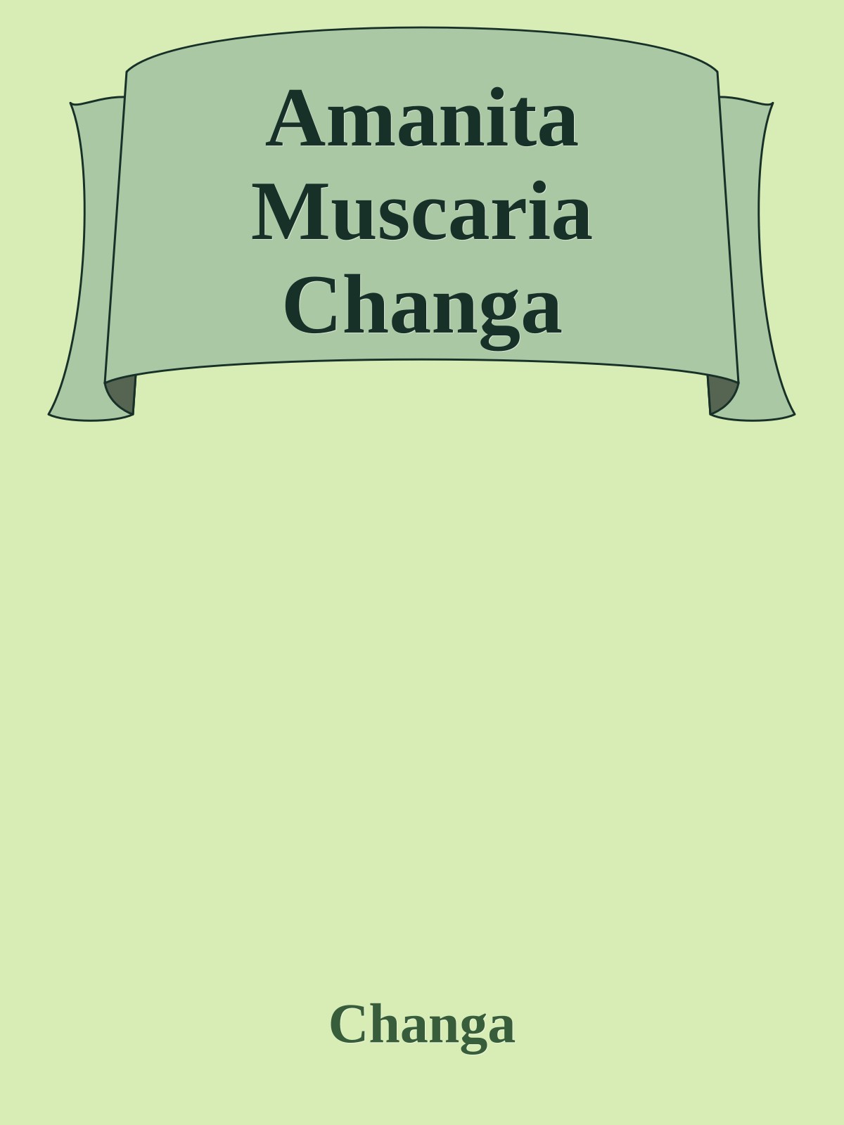 Amanita Muscaria Changa