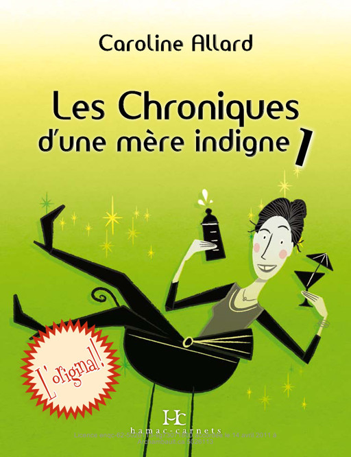 Les Chroniques d'une mère indigne T1