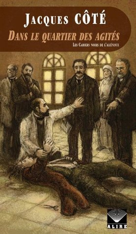 Dans le quartier des agités: Les Cahiers noirs de l'aliéniste -1
