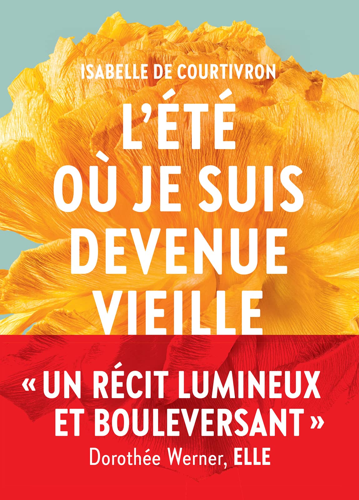 L'été où je suis devenue vieille