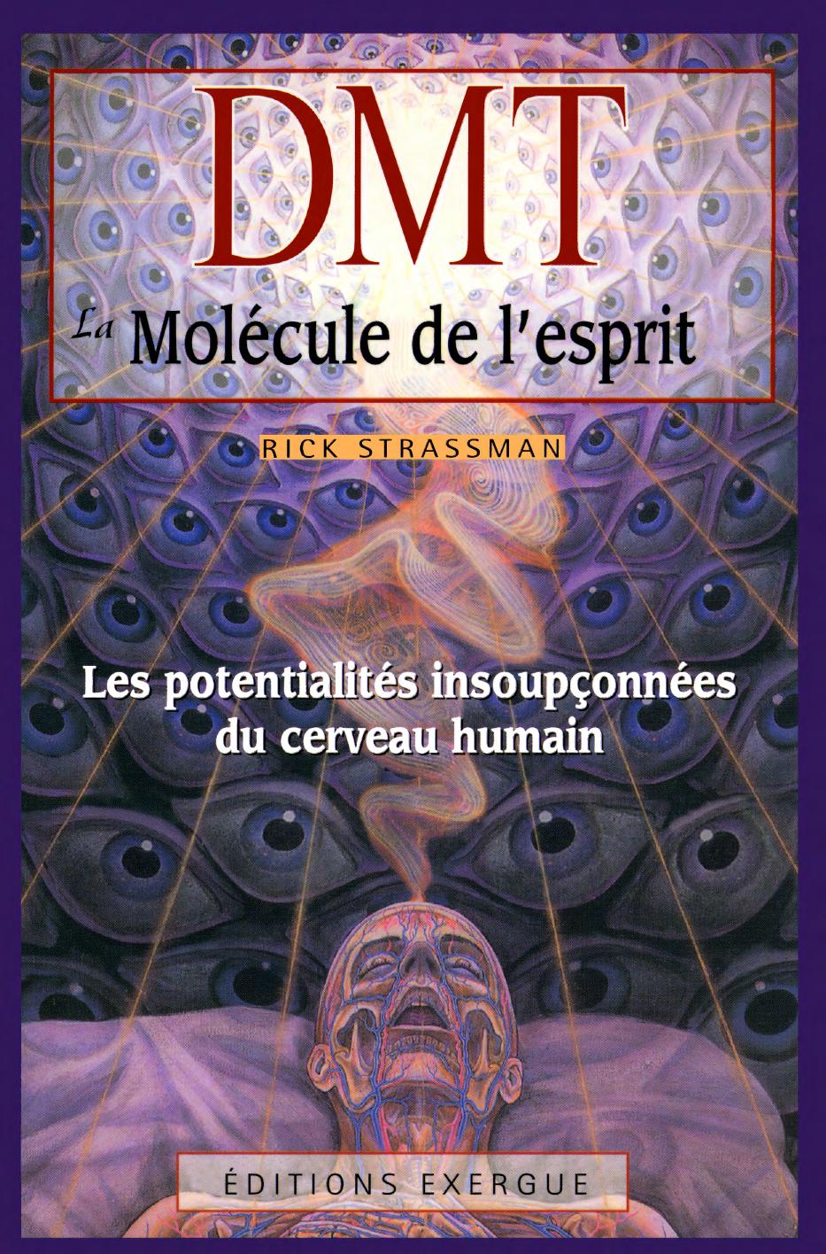 Rick Strassman - DMT