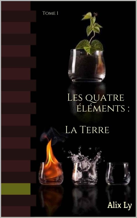 La Terre (Les quatre éléments t. 1) (French Edition)