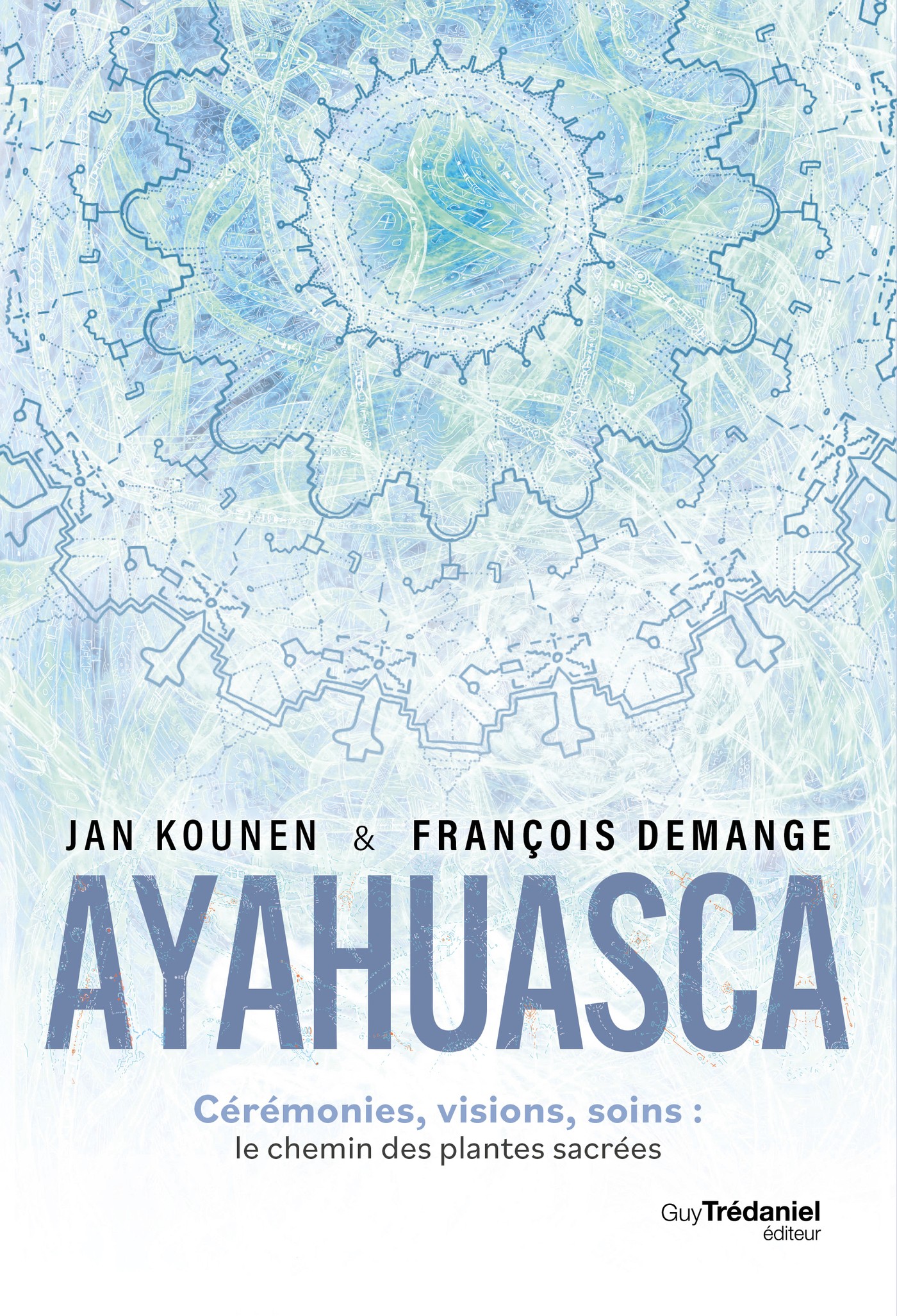 Ayahuasca - Cérémonies , visions, soins : le chemin des plantes sacrées