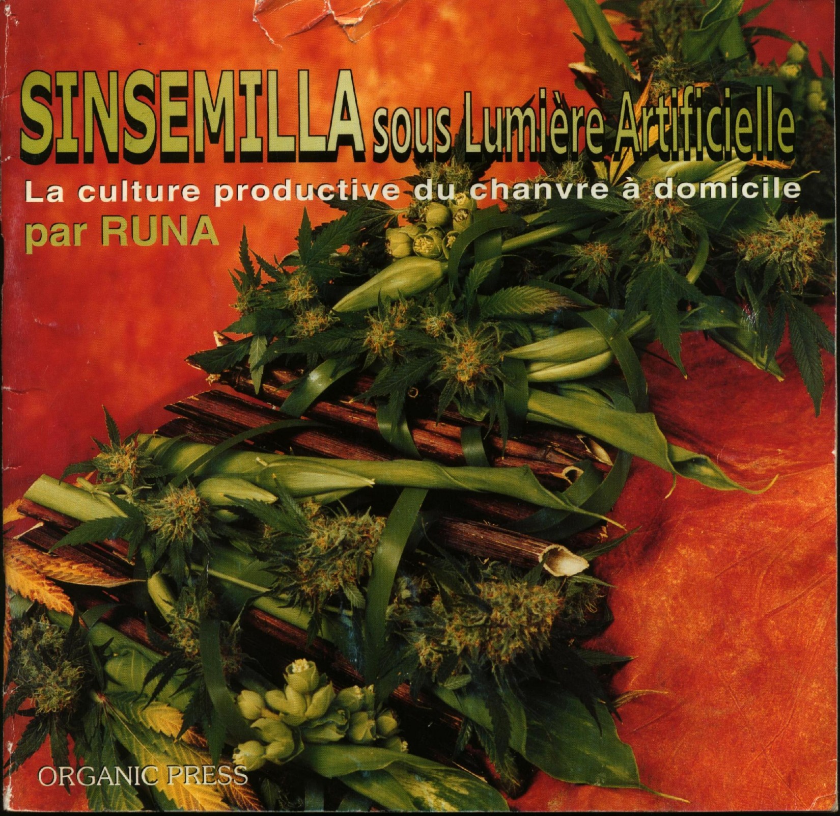 sinsemilla sous lumiere artificielle - mod