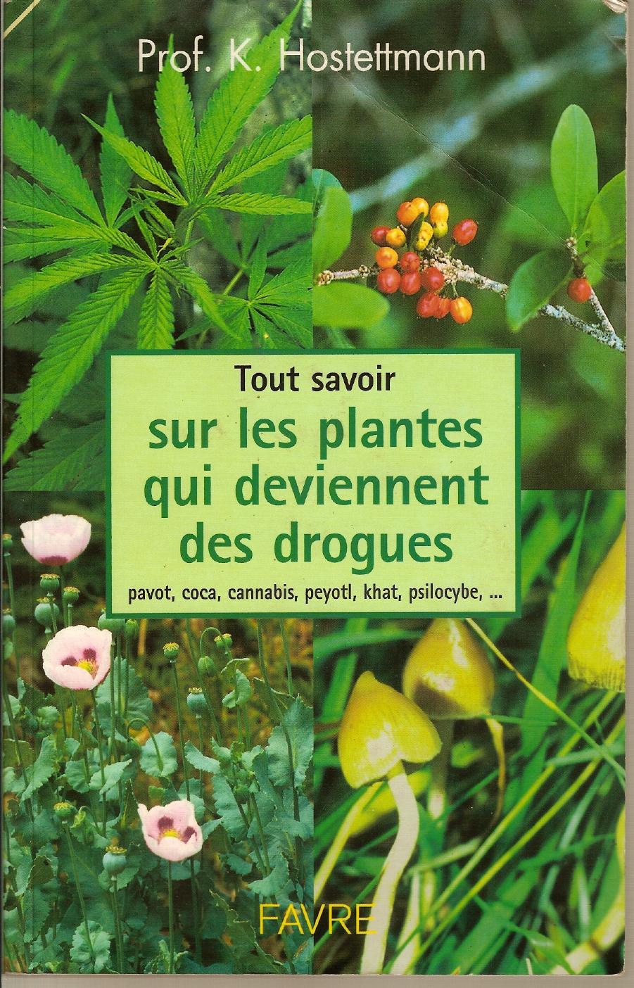 Tout savoir sur les plantes qui deviennent