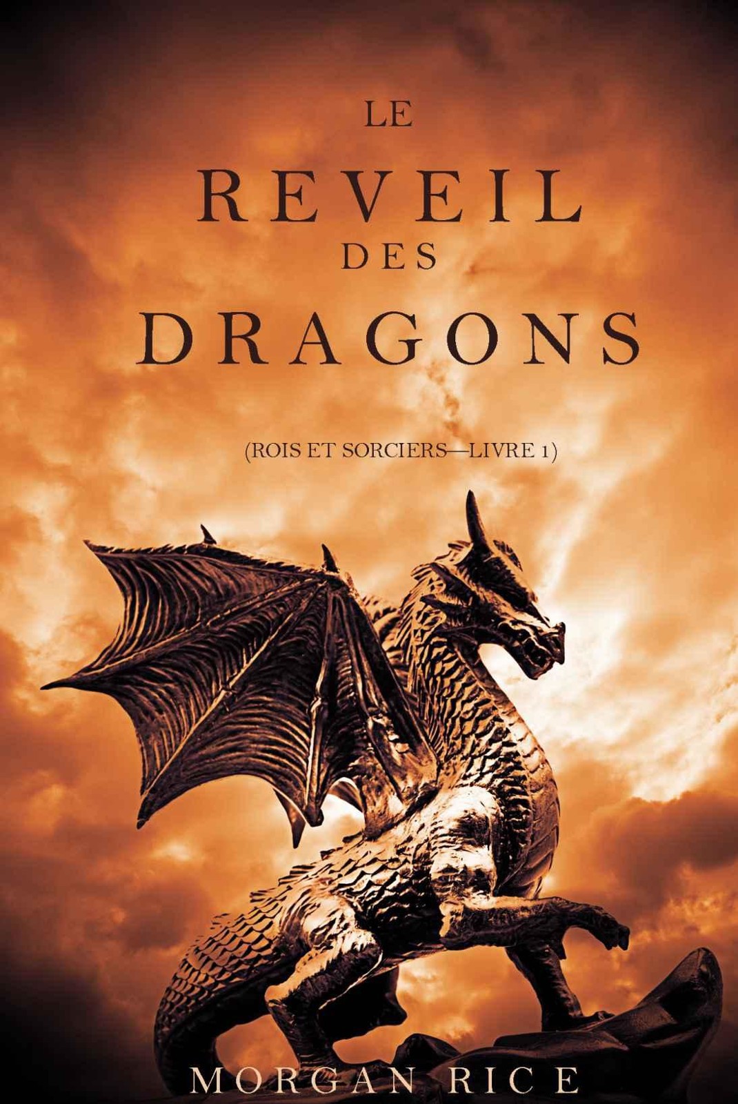 Rois et Sorciers T1 Le Réveil des Dragons