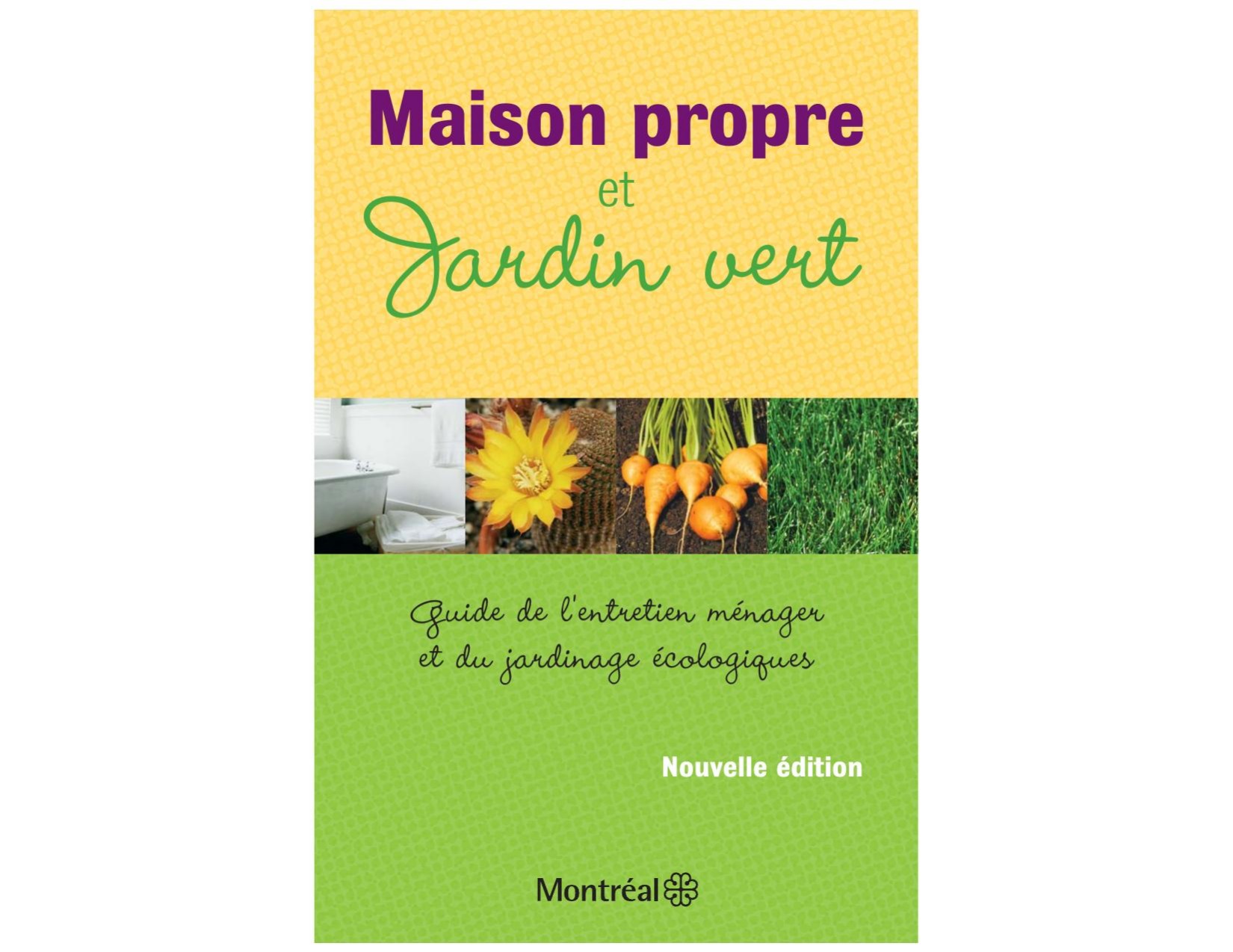 Maison propre et jardin vert