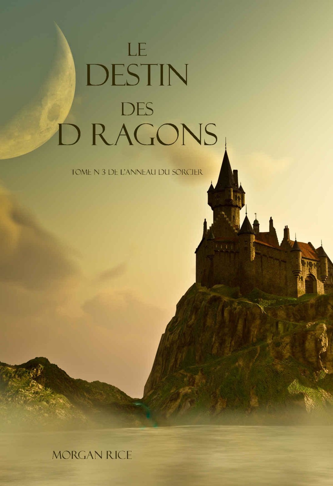 Le Destin Des Dragons (Tome 3 De L'anneau Du Sorcier)