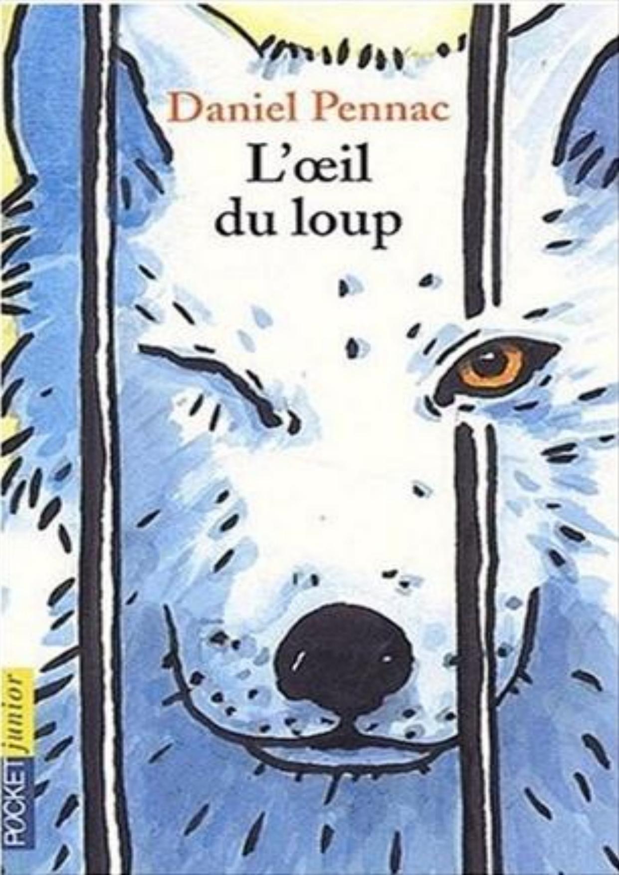 Pennac Daniel-L'oeil du loup
