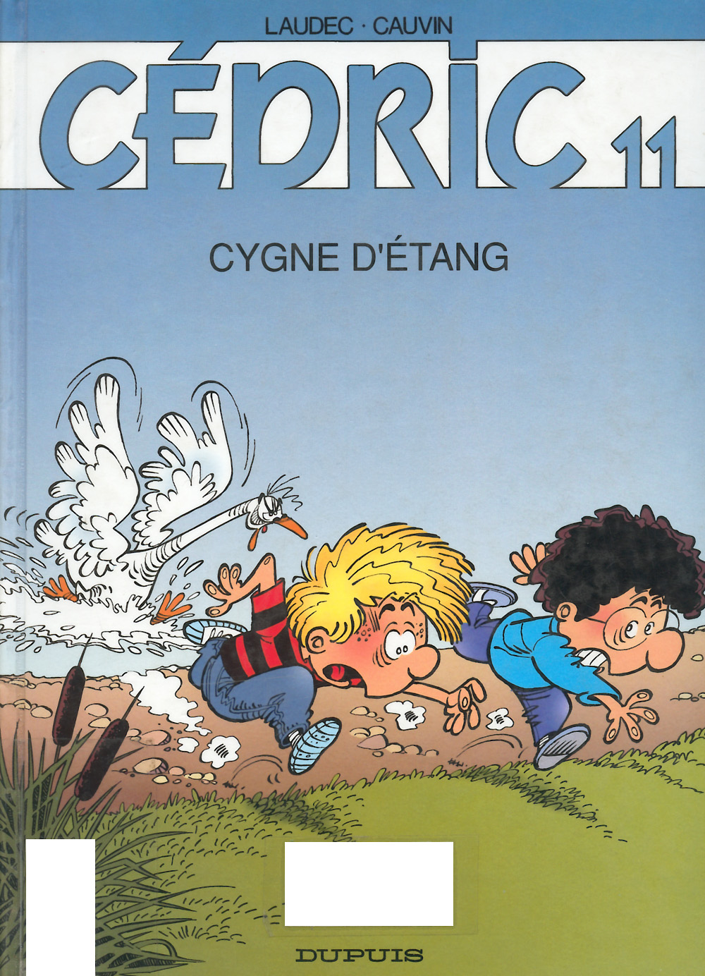 Cedric - T11